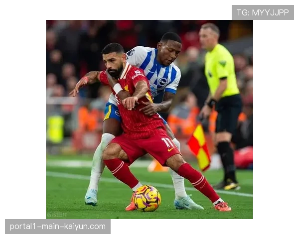 布莱顿主场对利物浦战绩占优 近3次2胜1平